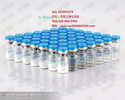 河源市委老干部局 傳承紅色基因，服務銀發群體的重要力量